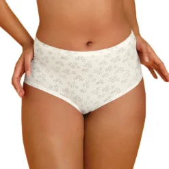 Culotte Taille Haute Anita Comfort Clara Art Crystal