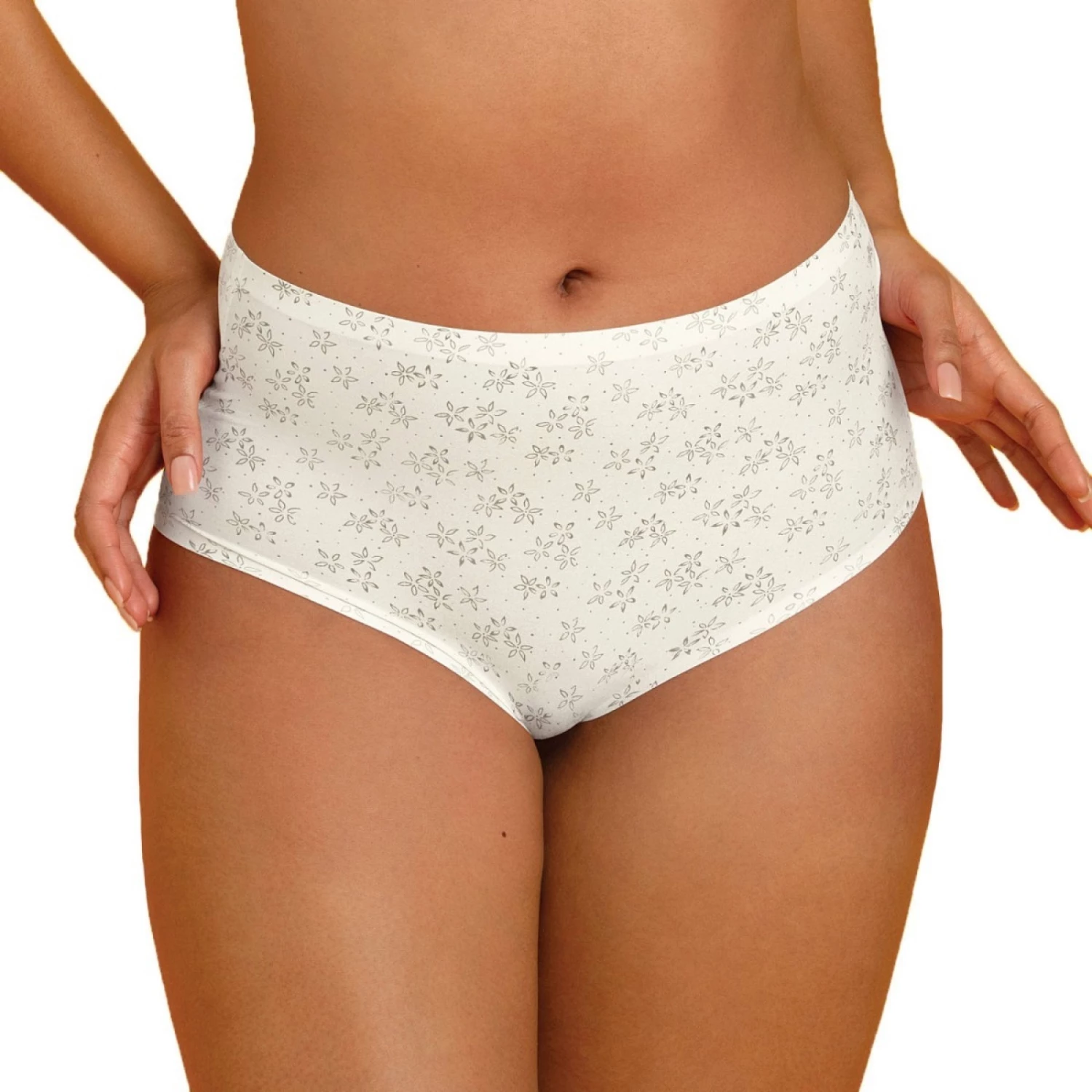 Culotte Taille Haute Anita Comfort Clara Art Crystal 1 Culotte Taille Haute Anita Comfort Clara Art Crystal